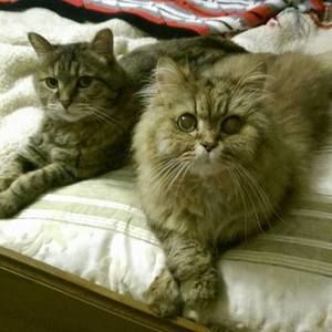 Meet your Posher, June